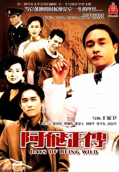 奥本大学社会学文凭证书